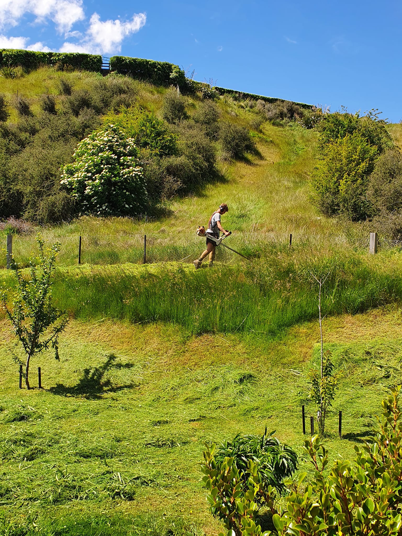 landscaper clearing large section